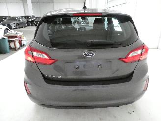 Ford Fiesta BUSINESS picture 5