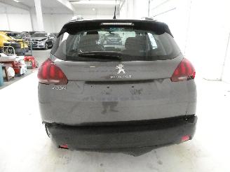 Peugeot 2008 ACTIVE picture 5