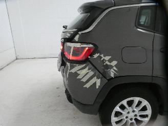 Jeep Compass  picture 14