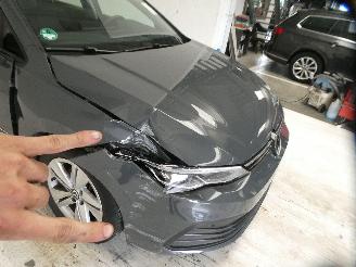 Volkswagen Golf VARIANT LIFE picture 13