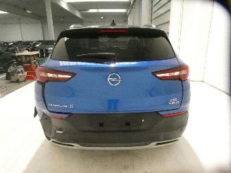 Opel Grandland Z picture 8