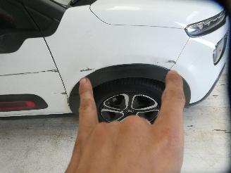 Citroën C3 III SHINE picture 13