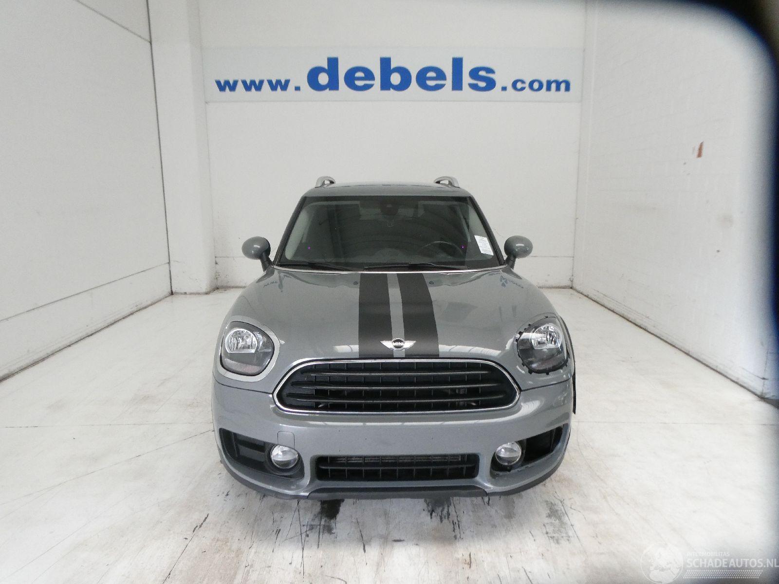 Mini Countryman ONE COUNTRYMAN