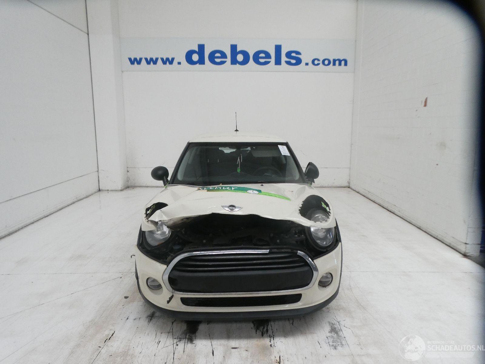 Mini One 1.5D  D