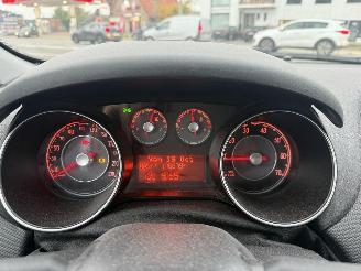 Fiat Punto EVO picture 19