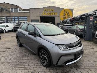 Unfallwagen BYD Dolphin COMFORT 2024/7