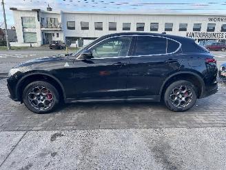 Alfa Romeo Stelvio Q4 ENGINE OUT picture 15