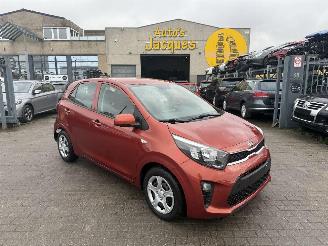 Avarii autoturisme Kia Picanto 1.0I 2019/5