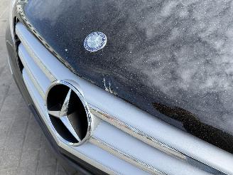 Mercedes B-klasse  picture 11