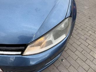 Volkswagen Golf 1.6 TDI picture 13