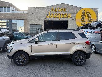 damaged passenger cars Ford EcoSport 1.0I TREND 2019/1