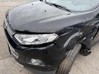 Ford EcoSport 1.0 TITANIUM picture 17