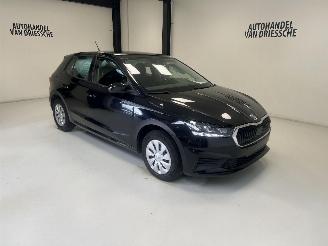 Unfallwagen Skoda Fabia  2024/3