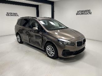 Damaged car BMW 2-serie  2019/8