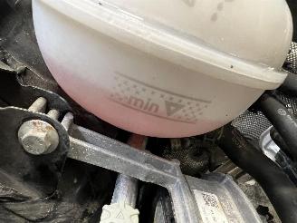 Skoda Octavia DSG picture 13