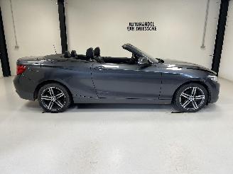 damaged passenger cars BMW 2-serie SPORTLINE AUTOMAAT 2019/3