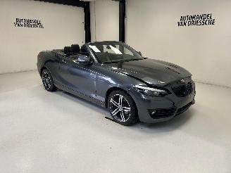 Damaged car BMW 2-serie SPORTLINE AUTOMAAT 2019/3