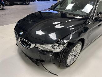 BMW 4-serie LUXURY LINE picture 9