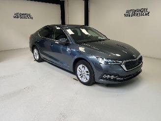 skadebil auto Skoda Octavia AMBITION 2021/2