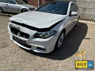 rozbiórka samochody osobowe BMW  F10 518D Alpinewiess 3 2014/1