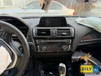 BMW 1-serie F20 118I N13 mineral-grau metallic picture 9