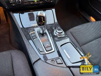 BMW 5-serie F11 1 520D N47  sophisto-grau Brillanteffekt metallic picture 20