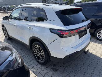 Volkswagen Tiguan 1.5 eTSI Goal picture 6