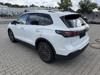 Volkswagen Tiguan 1.5eTSI DSG 110 KW picture 6