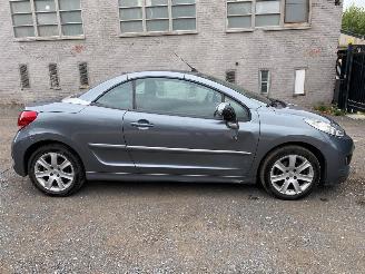  Peugeot 207 CC SPORT 2011/6