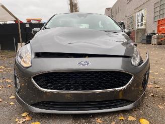 Ford Fiesta BUSINESS picture 4