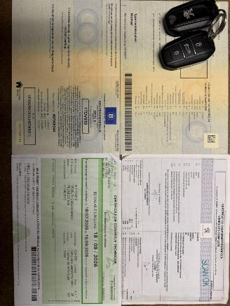 Peugeot 508 RXH  2.0 HDI 4X4 picture 34