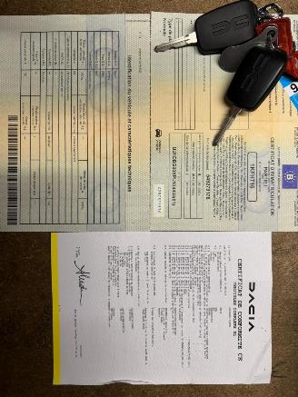 Dacia Spring EXTREME picture 34