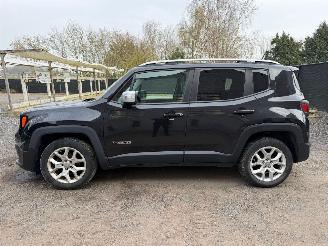 Jeep Renegade LIMITED picture 10