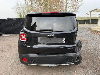 Jeep Renegade LIMITED picture 13