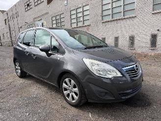 Opel Meriva COSMO picture 2