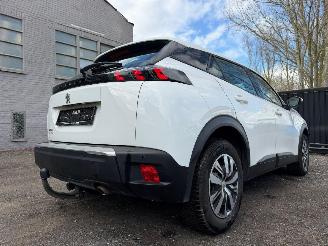 Peugeot 2008 II ACTIVE picture 14