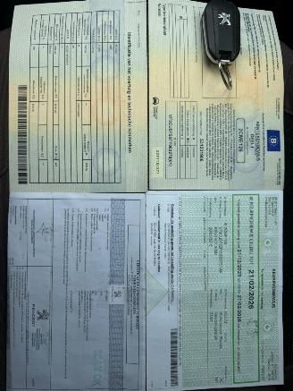 Peugeot 2008 ACTIVE picture 33