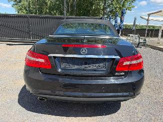 Mercedes E-klasse E 250 CDI BLUE EFFIC picture 14