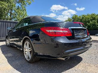 Mercedes E-klasse E 250 CDI BLUE EFFIC picture 13