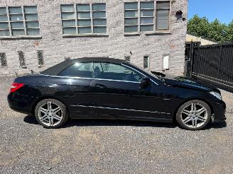 Avarii autoturisme Mercedes E-klasse E 250 CDI BLUE EFFIC 2010/5