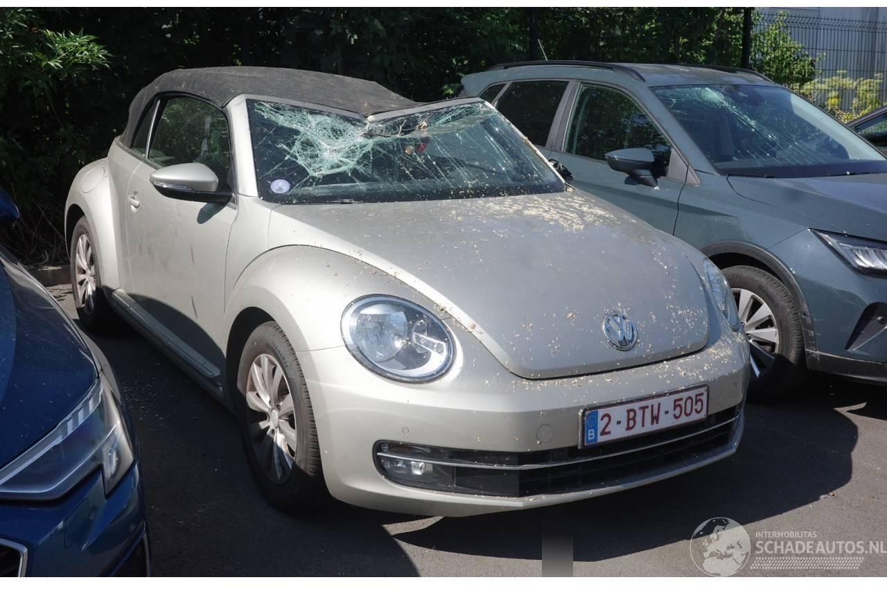 Volkswagen Beetle DESIGN