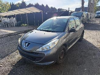 Peugeot 206 1.2I picture 10