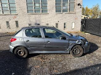 Damaged car Peugeot 206 1.2I 2010/1