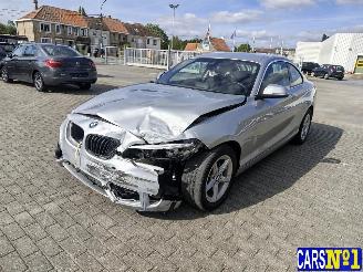 Vaurioauto  passenger cars BMW 2-serie  2018/6