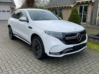 Voiture accidenté Mercedes EQC 400 4MATIC AMG LINE NAVI CAMERA LED 2023/10