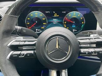 Mercedes E-klasse 300 de AMG LINE WIDESCREEN NIGHT LED picture 12