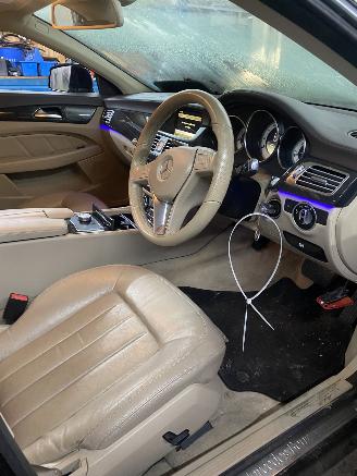 Mercedes CLS CLS 350 CDI picture 4