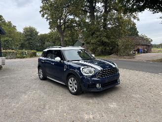 Mini Countryman COOPER 1.5 NAVI CLIMA CAMERA LED PDC B.J 2019 picture 3