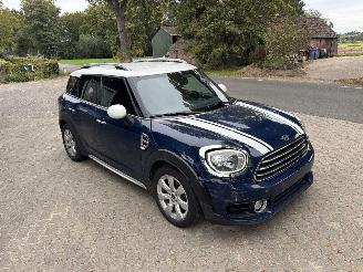 Mini Countryman Countryman COOPER 1.5 EDITION NAVI CLIMA CAMERA LED KEYLESS B.J 2019 picture 11