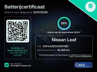 Avarii autoturisme Nissan Leaf Navi Clima Camera lmv B.J 2012 geen schade 2012/2